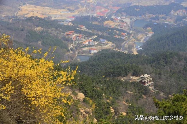 济南春季赏花自驾,济南踏青赏花新模式
