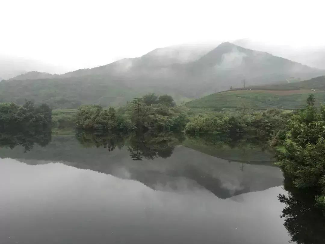 中国五大茶旅胜地,中国十大茶旅城市有哪些