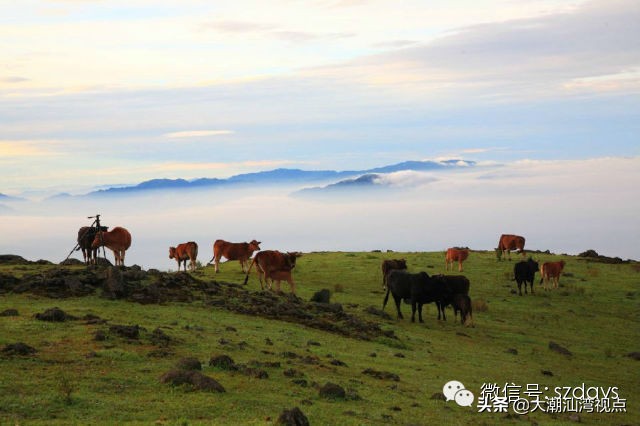 广东最美8个大草原,广东十大草原旅游地