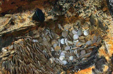 巨额财富是西班牙帝国衰落的根源！遏制了西班牙人的工商业发展