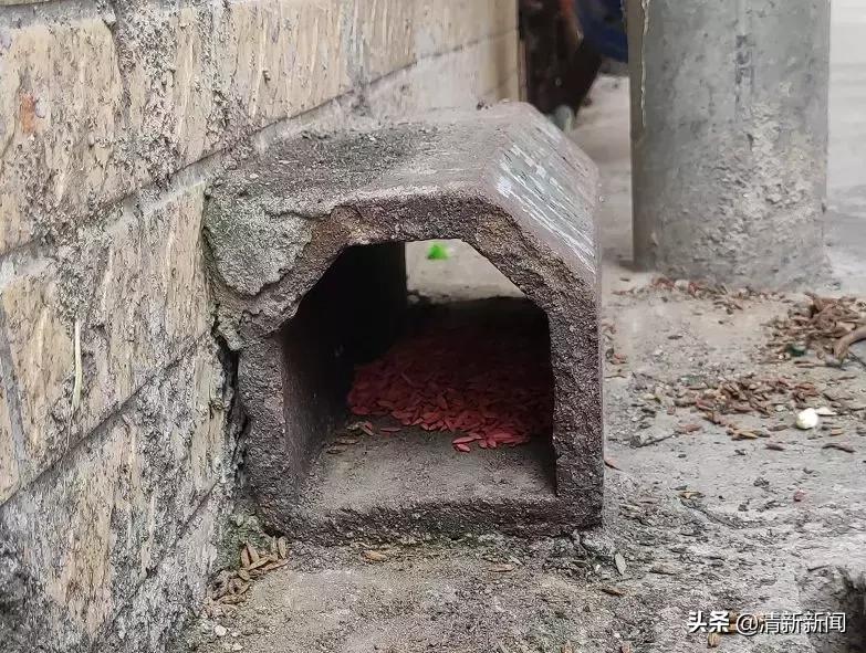 家里老鼠多有什么吓老鼠的神器,防止家里老鼠进屋