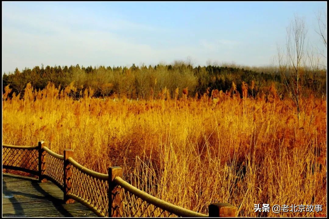 住在朝阳区有什么好处 (住在朝阳区好还是海淀区好)