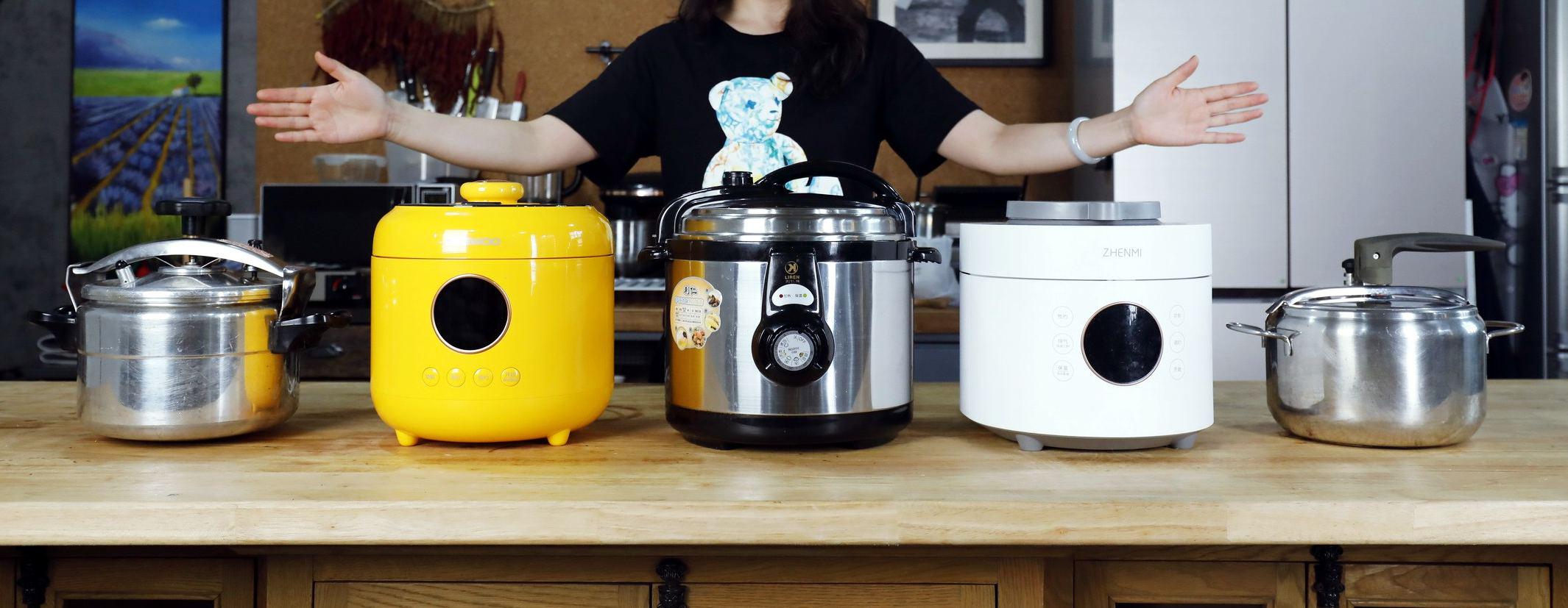 蒸煮两用电压力锅哪个牌子好,家用压力锅和微压锅哪个好