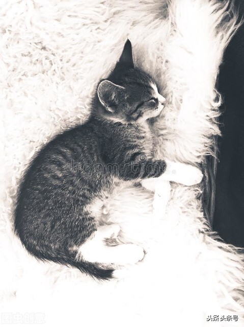 梦境系列——13（稀稀疏疏的梦……）