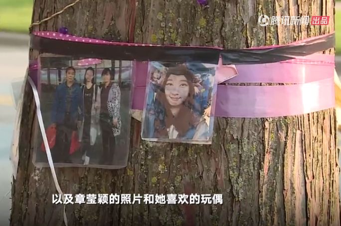 章莹颖遇害案全过程,章莹颖遇害案细节曝光