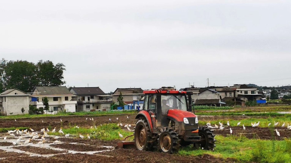 整户消亡承包地收回吗,集体收回承包地的流程