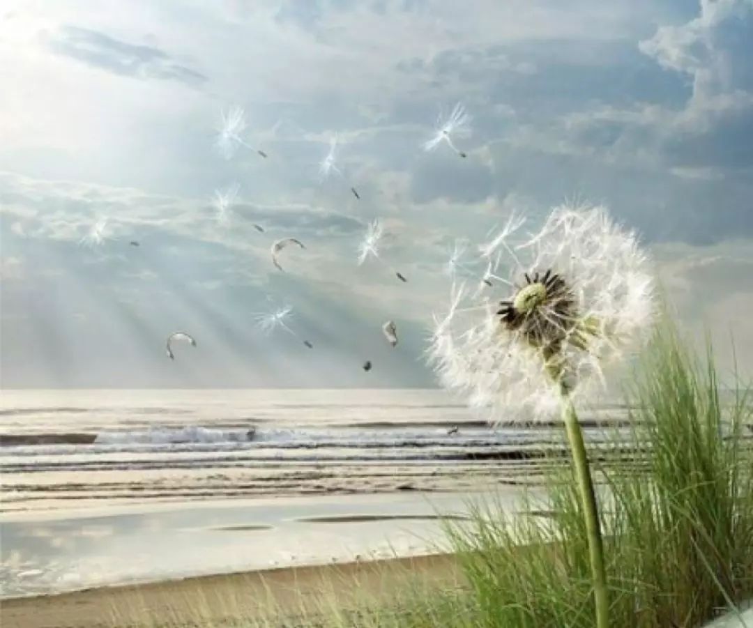 与儿子在家聊天,与儿偶遇诗句