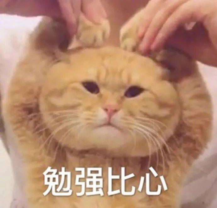 “做公关被长辈认为是陪酒女…”网友评论扎心了！