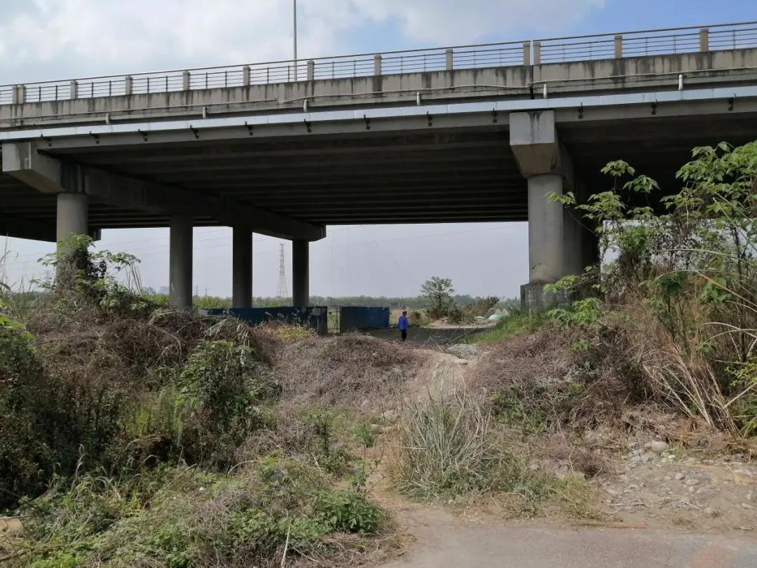 温江金马湖现状,金马湖烂尾楼在哪里