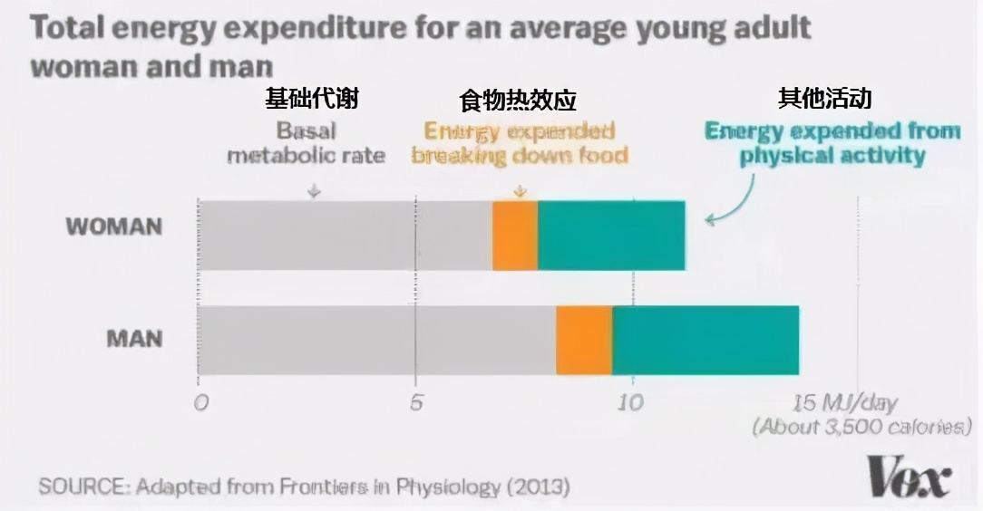 越吃越瘦的食物不反弹,越吃越瘦的东西低卡路里