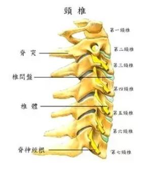 颈部受凉疼痛怎么解决,受凉引起的脖子痛怎么办