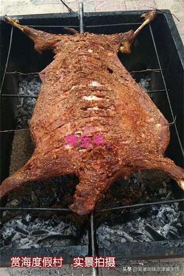 东戴河国际休闲旅游度假,东戴河旅行真正的海景度假村