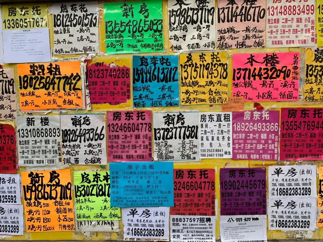 百分百广东制造*欲情**片，导演亲自分享创造内幕