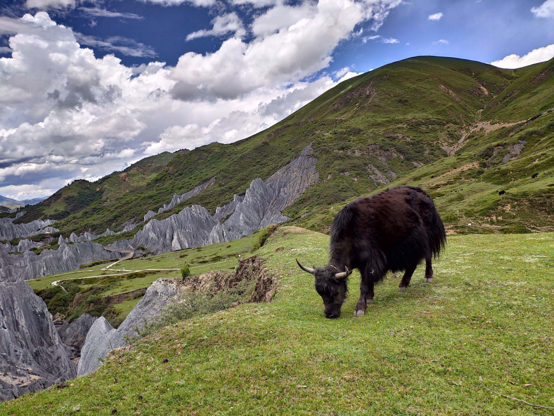 天下第一奇观石林风景区,石林秘境景区