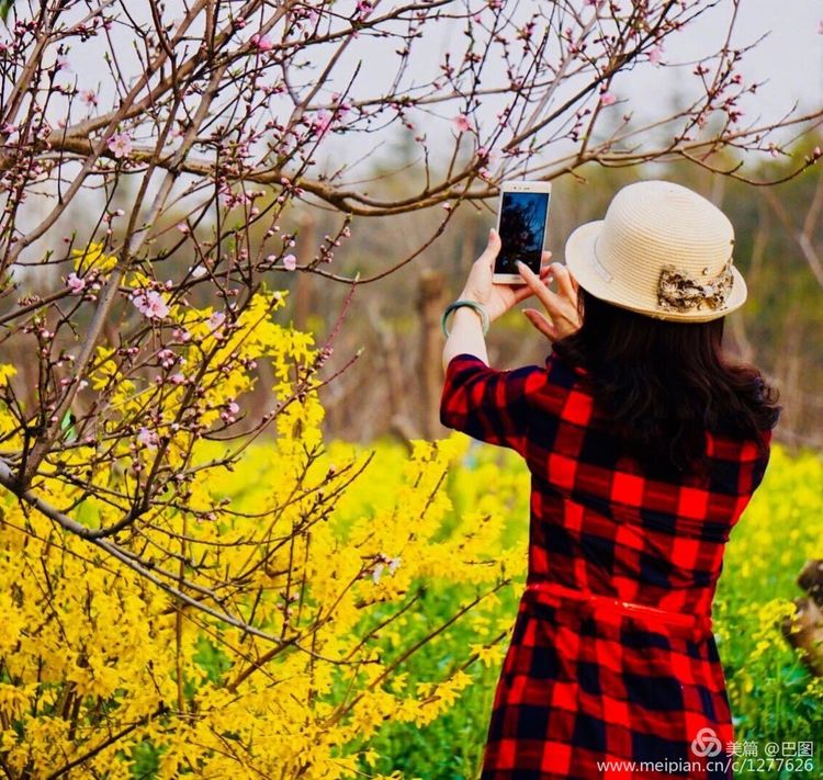 洛阳晚报作品,洛阳晚报2020年