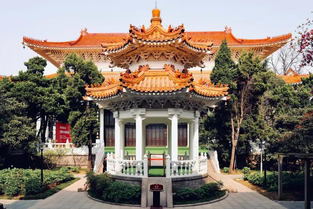 citywalk最受欢迎的旅游方式,citywalk自由行