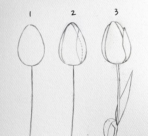 画花怎么才能画好看呢,教大家一个画花技巧