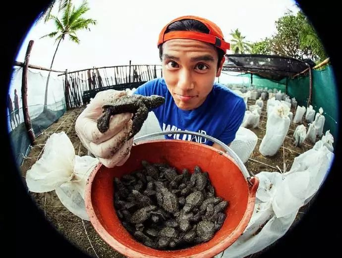 西尔莎罗南获金球奖,文娱有料