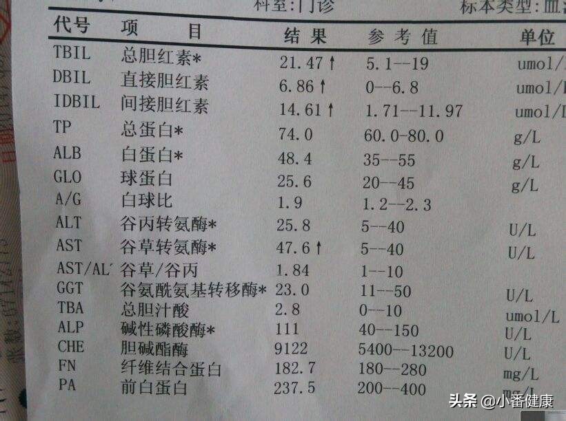 慢性乙肝定期复查项目,慢性乙肝要定期复查什么项目