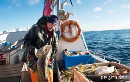 格陵兰属于欧盟吗,格陵兰为什么要脱离欧盟