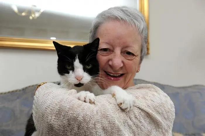 猫咪被救助的感人故事,猫咪救主人的真实故事