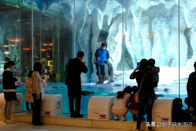 亲子珠海长隆海洋王国一日游攻略,珠海长隆海洋王国游玩攻略亲子