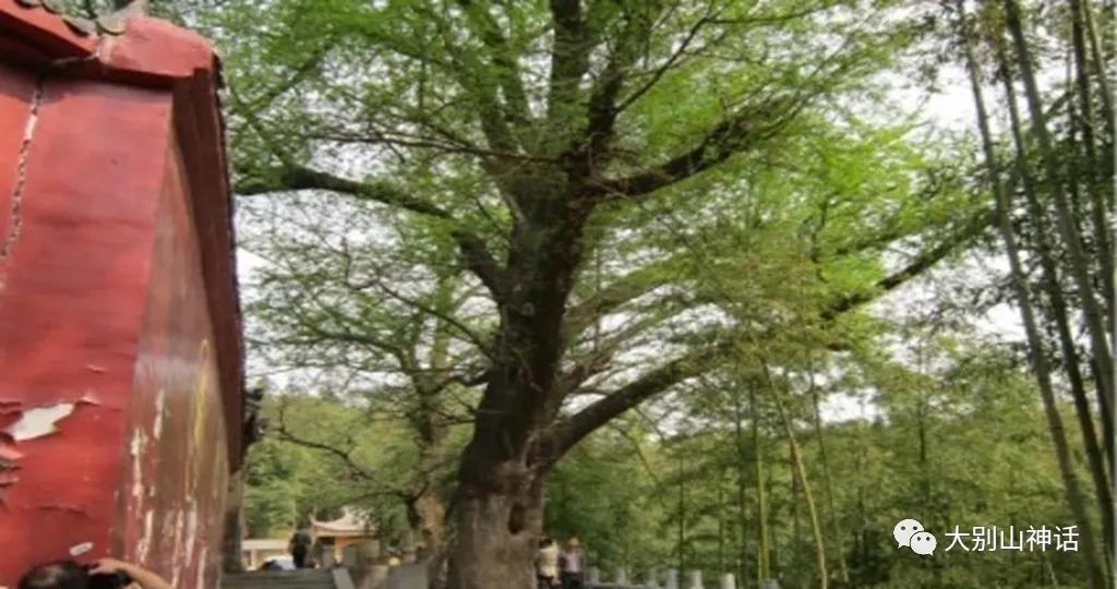 小城晚唱故事诗《白竹园寺的传说》