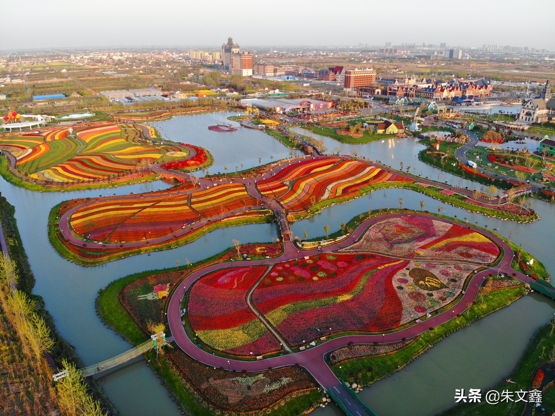 大丰荷兰花海郁金香开了没有,荷兰花海现在有郁金香吗