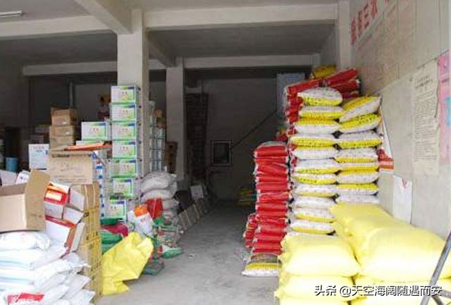 一袋50斤玉米种有多少利润,卖玉米种60袋一袋挣多少钱