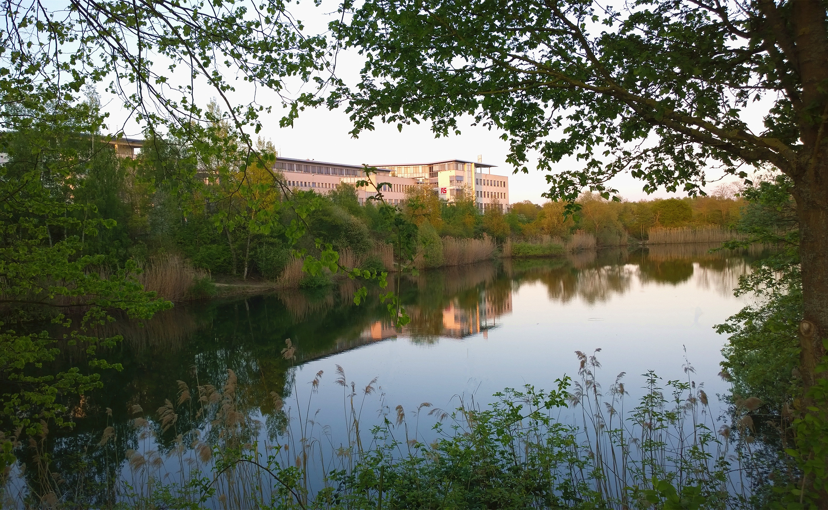 法兰克福一日游攻略大全,法兰克福旅游自由行推荐