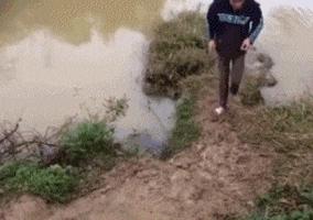 看了整整七分钟，他们最终还是上去了