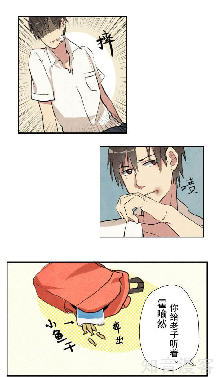 猫和铲屎官的日常生活漫画,猫和铲屎官的日常漫画