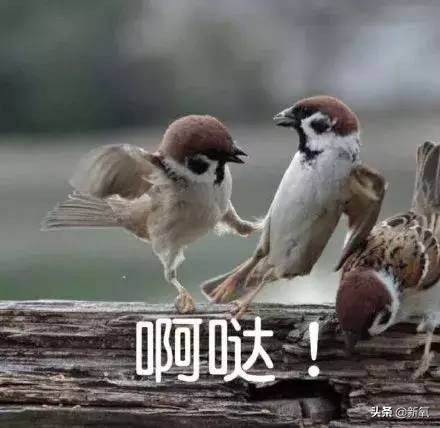 俄罗斯的化妆品有假的吗,俄罗斯的化妆品质量好吗