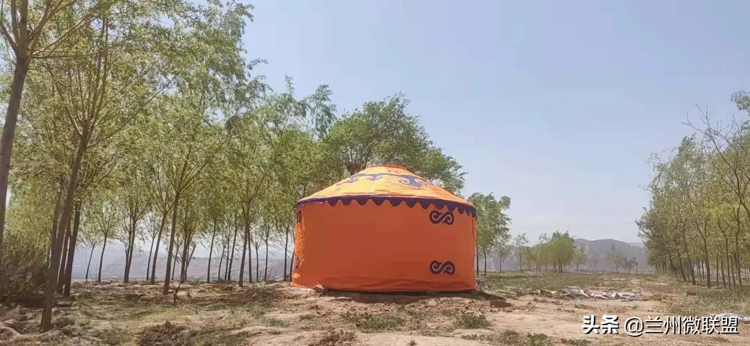 杏林湖黑天鹅,五一假期观光兰州