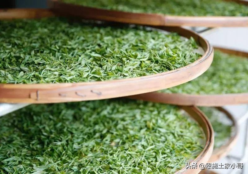 恩施土家人文地理：行游恩施，忠路雾洞春茶香