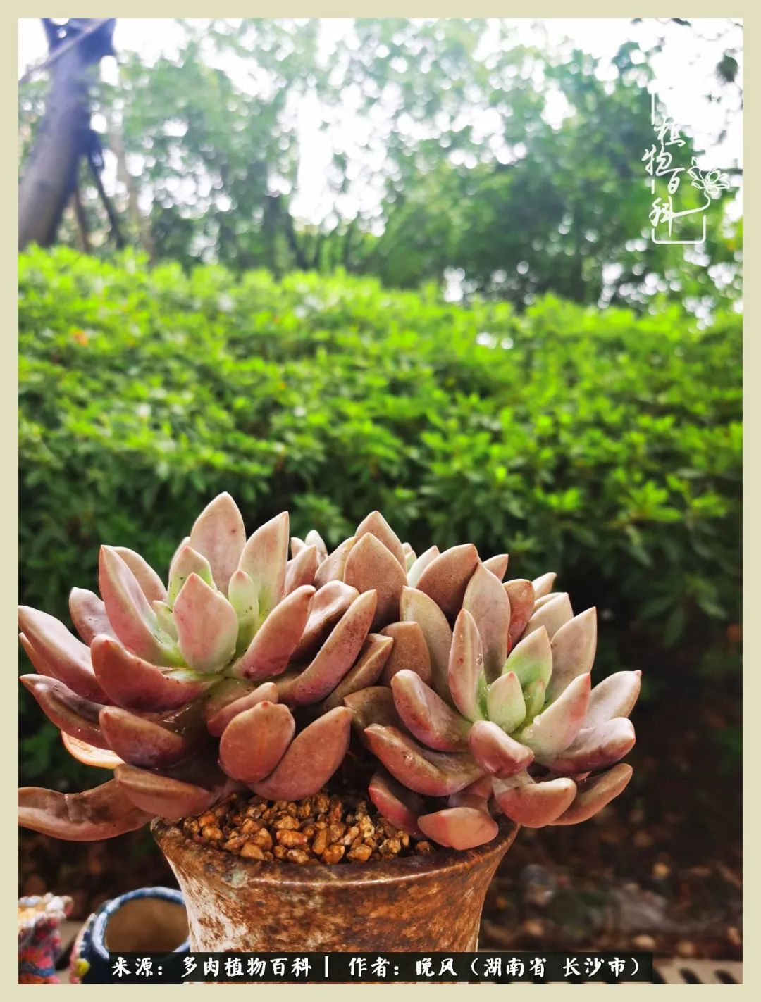 摇身一变成了奶爸,摇身一变成为打工人