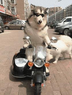 生物老师是女的,生物老师是个女的