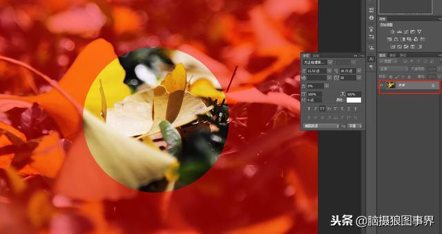 ps中的四类蒙版怎样应用,photoshop中如何添加蒙版