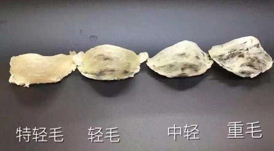 疏盏燕窝知识及鉴别,品牌干燕窝知识