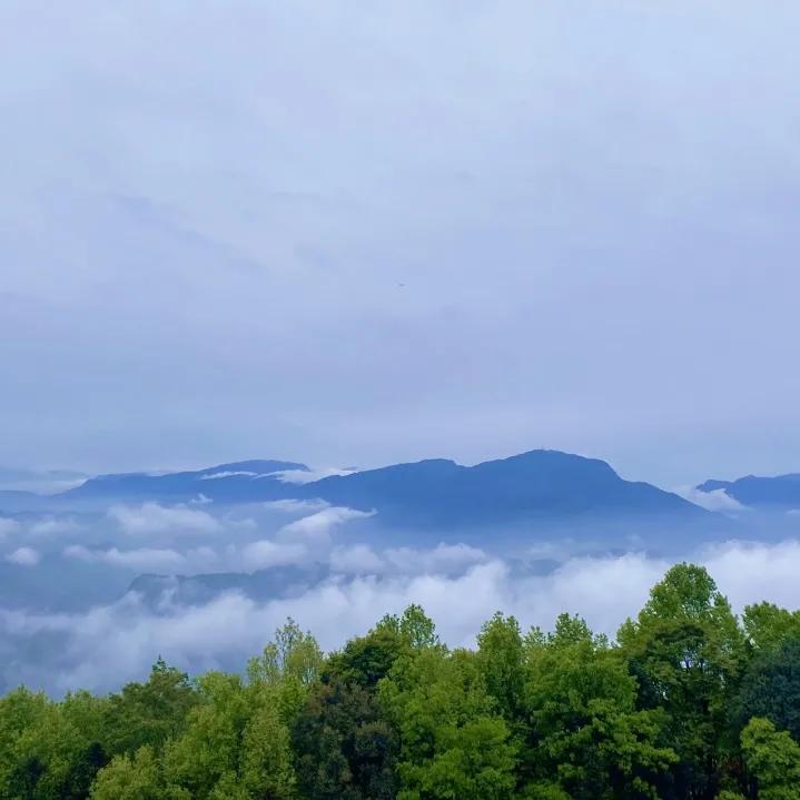 又见蒙顶云海，蒙顶山皇茶大酒店“观海”视野刚刚好！