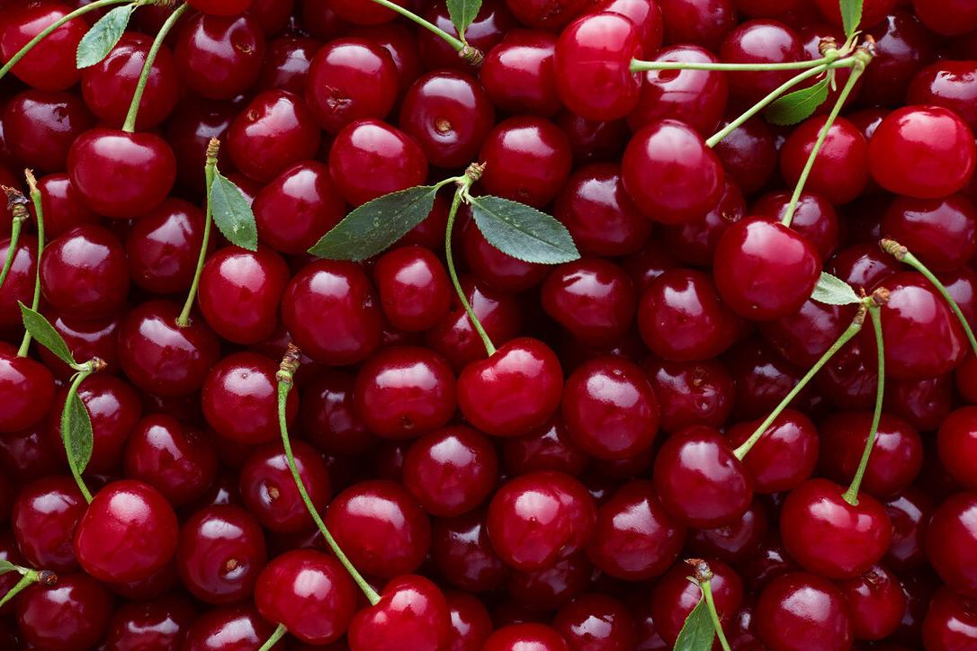 网购冒充车厘子小樱桃是什么品种,用樱桃冒充车厘子