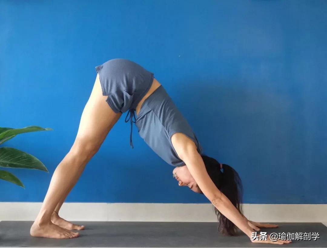 练腿最好的6个瑜伽动作瘦腿,瘦腿运动简单瘦大腿10分钟