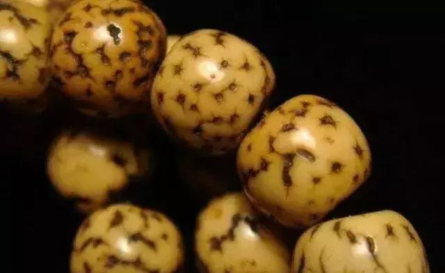 鸡油黄星月菩提盘到最后什么颜色,星月菩提怎么盘才能盘得更快上色