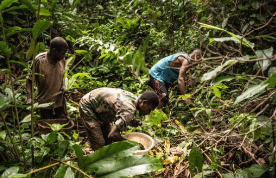 小人国真的存在么,小人国真的存在吗视频
