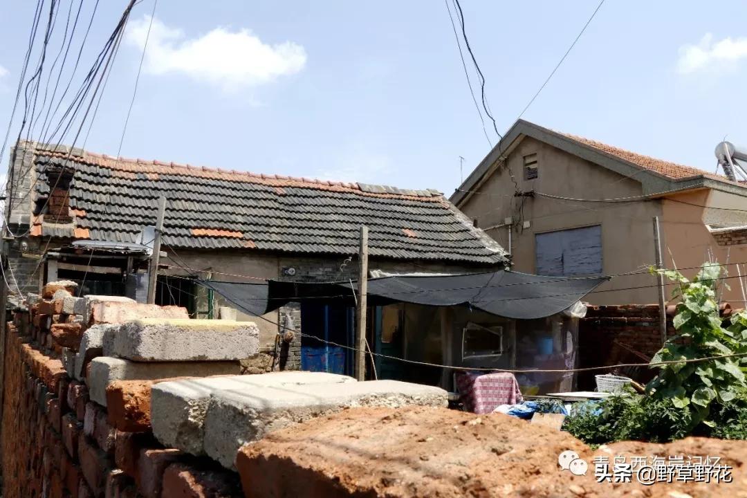 青岛西海岸新区灵山岛简介,青岛西海岸新区历史文化名城