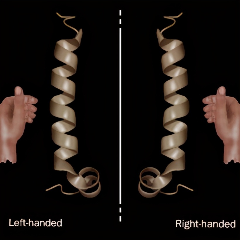 碳元素为什么是最基本元素,生命的核心元素是什么