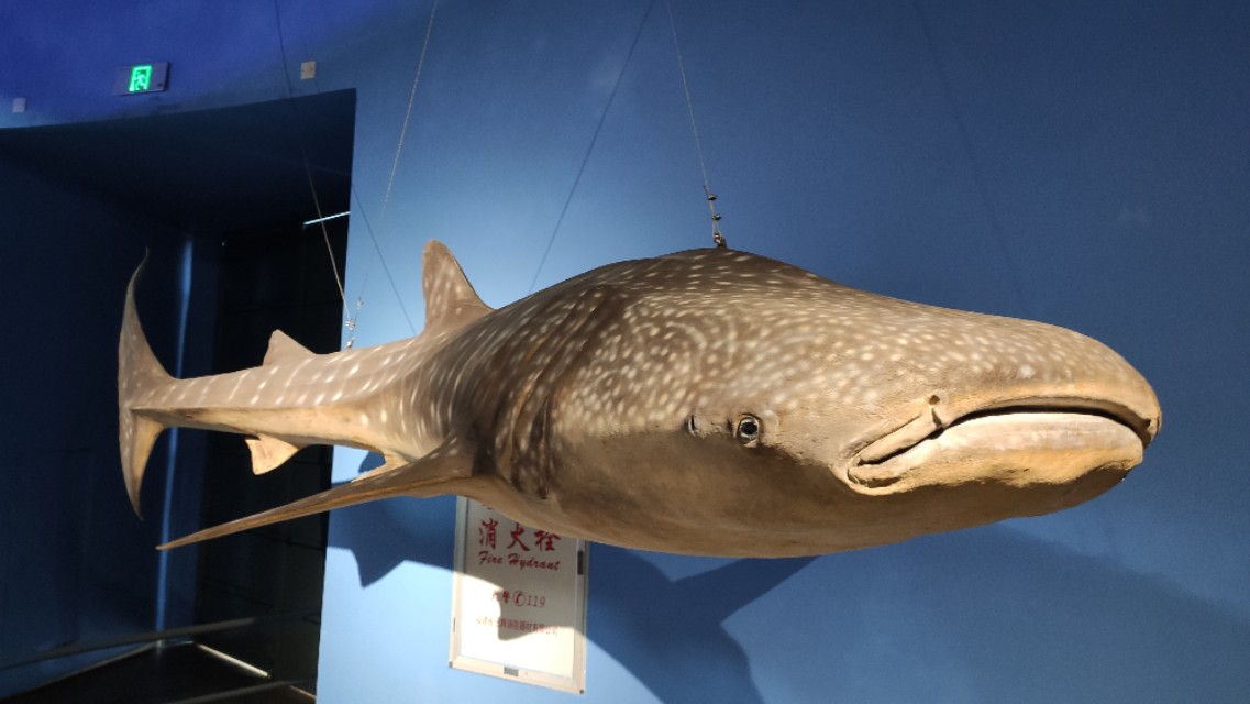 福州欧乐堡海洋世界家庭套票团购,福州欧乐堡海洋世界门票价格