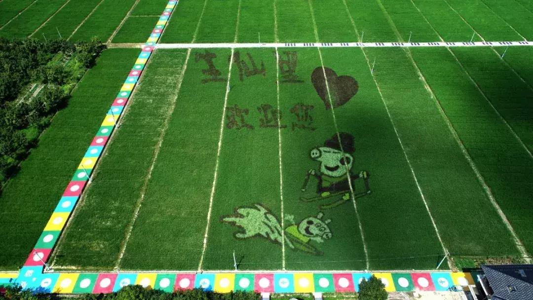 震撼！钱塘江畔出现巨型画作，有28个足球场这么大！