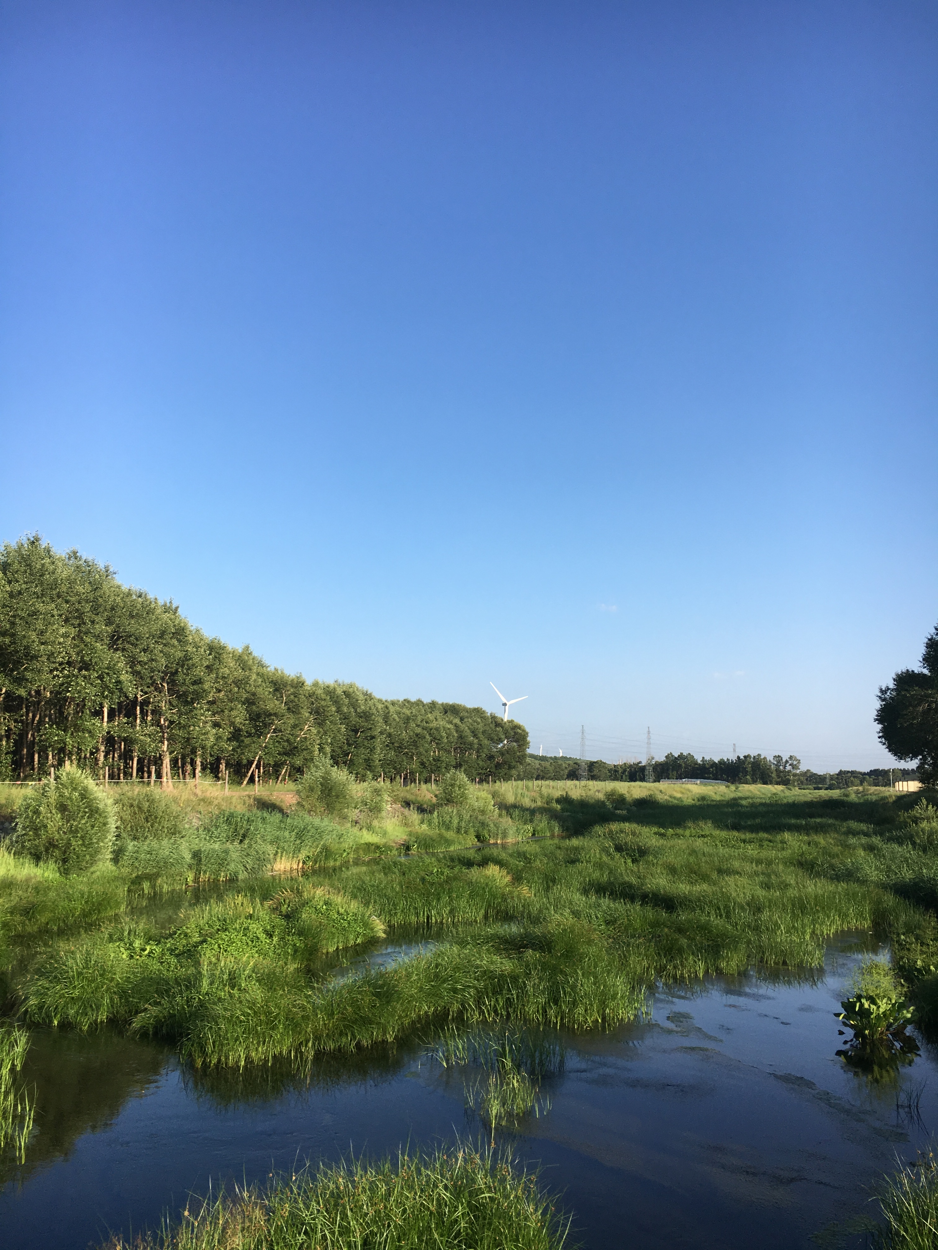 张北草原天路和野狐岭哪个好玩,张北草原自驾游野狐岭入口