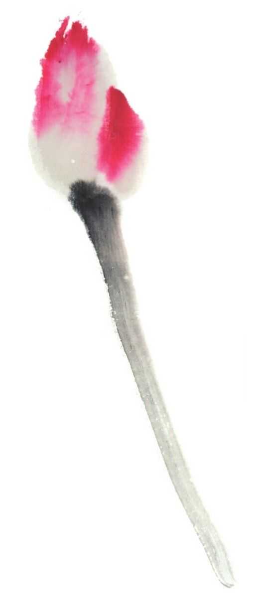 国画刘存惠荷花画法全视频,国画山水画教学视频荷花画法